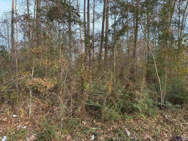 $20,000 | 25420 Wisteria Lane, Springfield, LA 70462