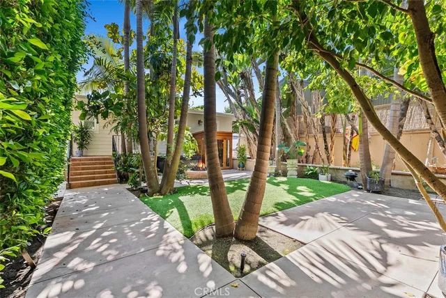 a view of a park with large trees