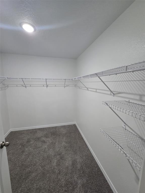 4703 Southwest 85th Place Ocala, FL 34476 - Photo 11 of 19