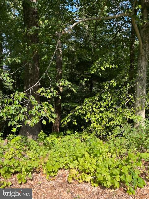 8202 Sycamore Road Lusby, MD 20657 - Photo 6 of 8 a backyard of a house