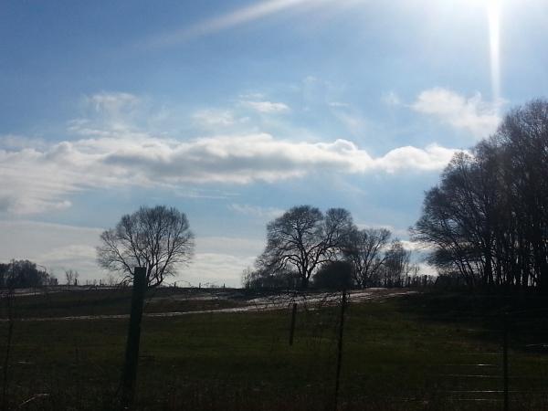 20131125_124809 (600x450)