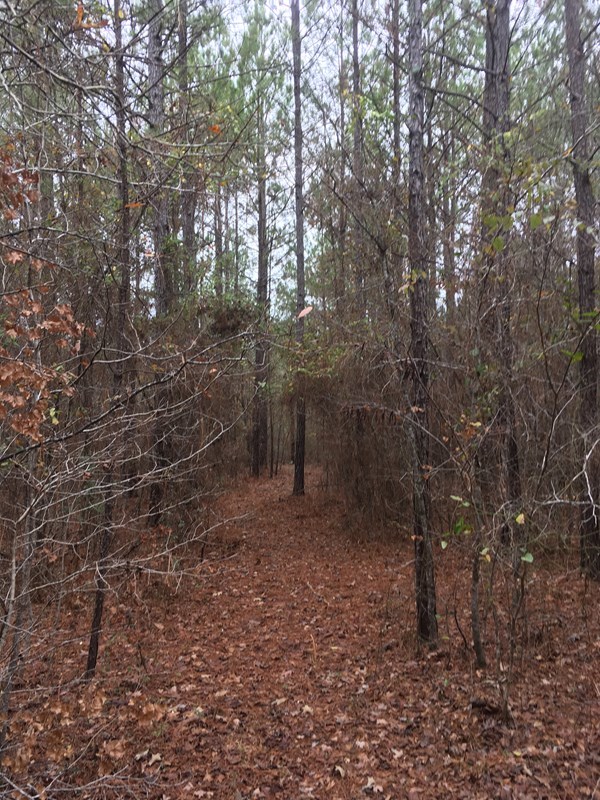 0 Damascus Church Road, Unit 12 Gray, GA 31032 - Photo 3 of 5 Additional Photo