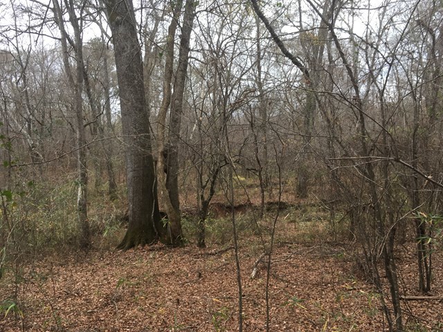 0 Damascus Church Road, Unit 12 Gray, GA 31032 - Photo 4 of 5 Additional Photo