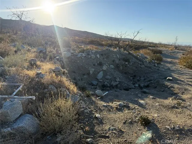 a view of a dry yard with green space