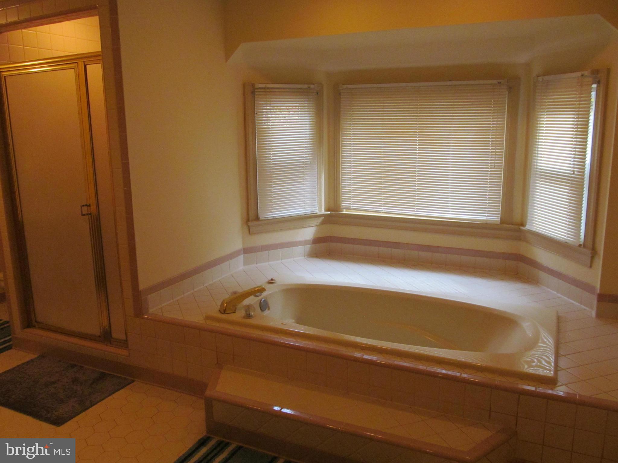 6355 Leeds Manor Road Marshall, VA 20115 - Photo 17 of 30 Bath (Master)