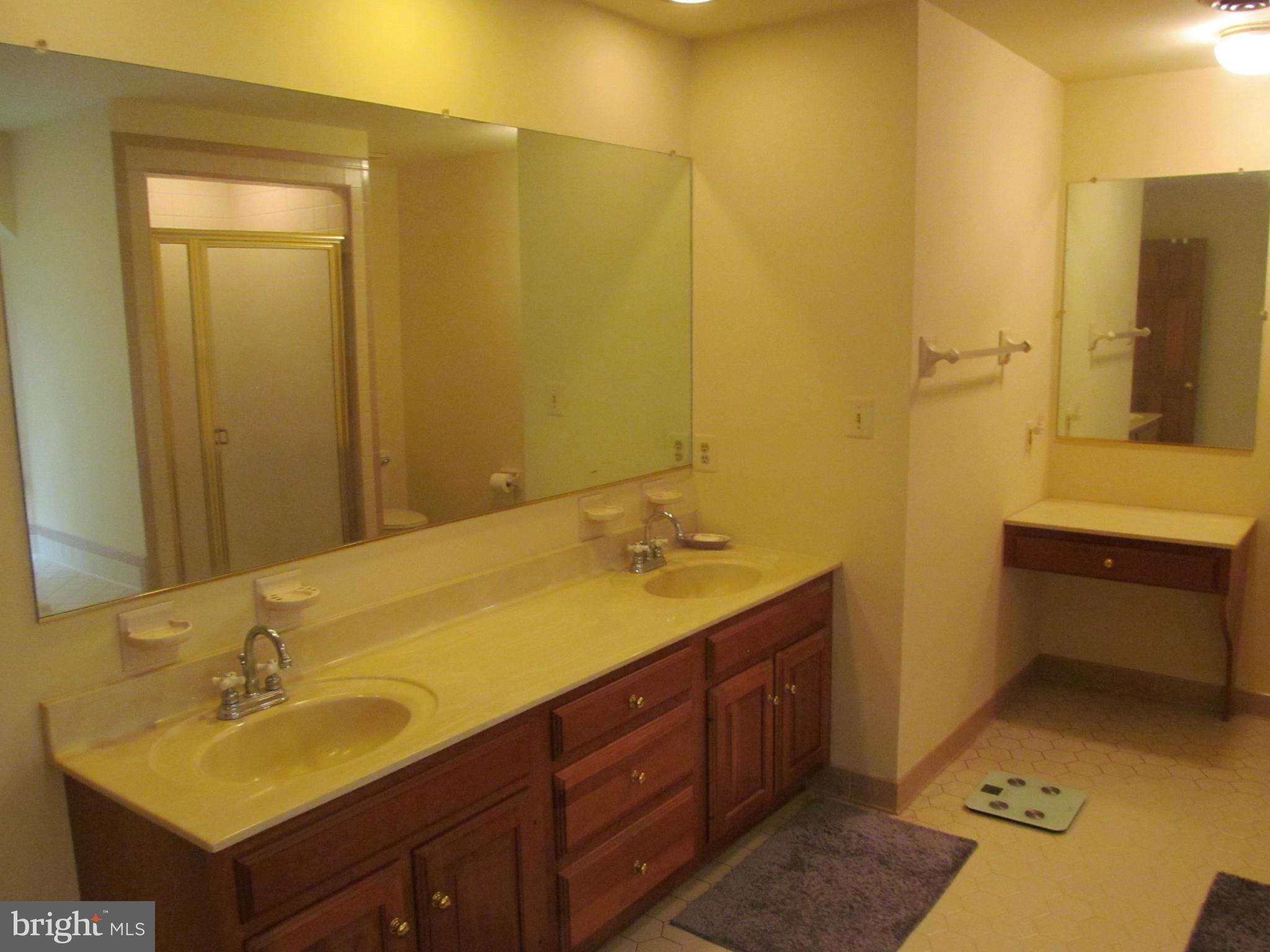 6355 Leeds Manor Road Marshall, VA 20115 - Photo 18 of 30 Bath (Master)