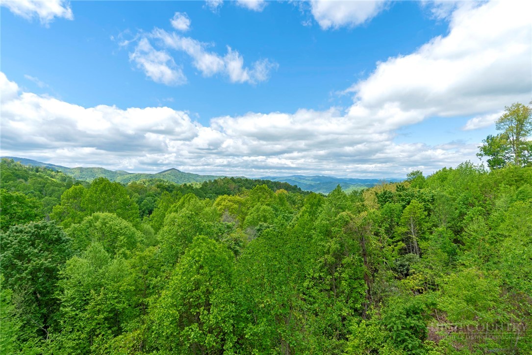 942 Ridge Haven Parkway, Unit R1211 Banner Elk, NC 28604 - Photo 16 of 45 a view of a lake
