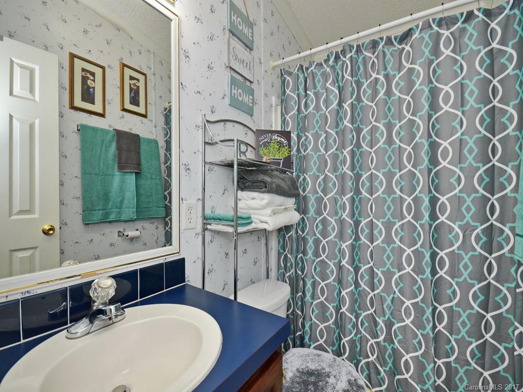 301 Golden Aster Road Swannanoa, NC 28778 - Photo 11 of 14 Gallery Image 11