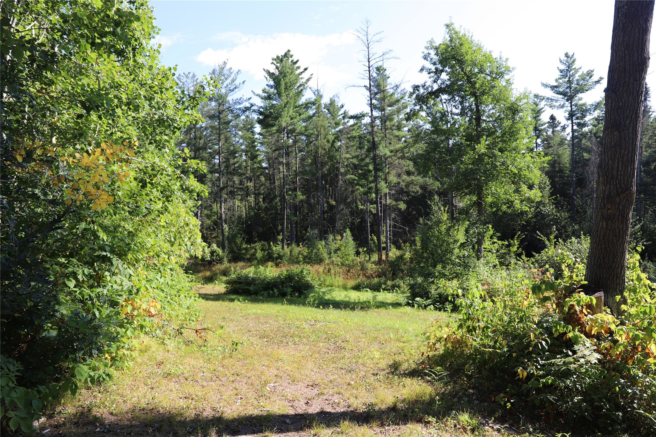 0 Sand Lake Road Stone Lake, WI 54876 - Photo 38 of 38 Gallery Image 38