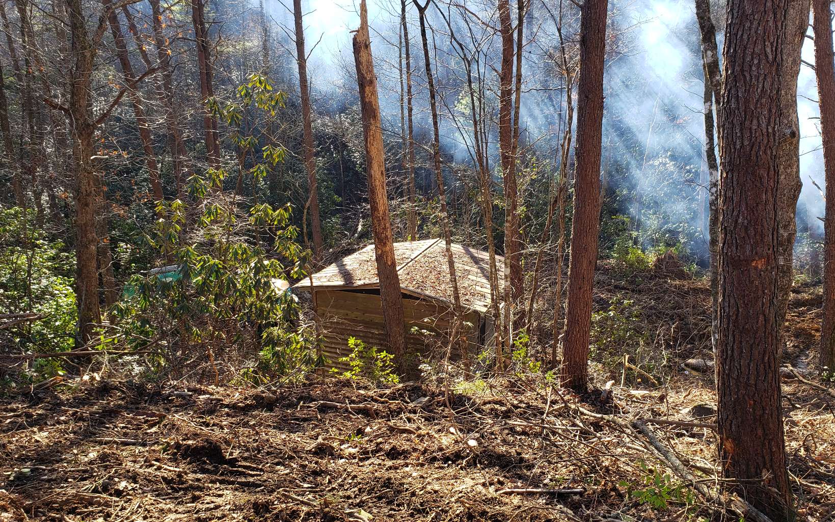 Additional View