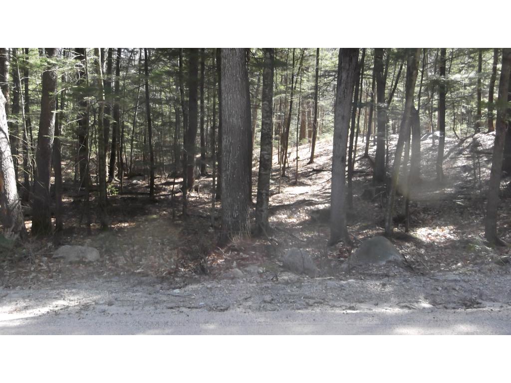 48 Appenvel Way Madison, NH 03849 - Photo 2 of 8 Gallery Image 2