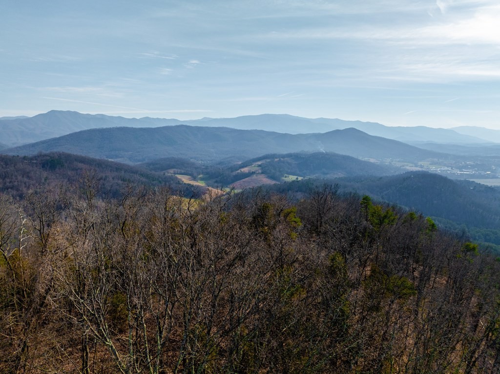 2233 Nations Road Newport, TN 37821 - Photo 66 of 68 Gallery Image 66