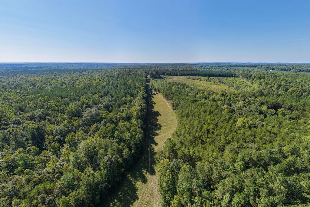 Lees Mill Road, Unit 3 Chase City, VA 23924 - Photo 44 of 64 Gallery Image 44