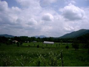 112 Hoyle Fender Road, Unit 7 Jonesborough, TN 37659 - Photo 1 of 8 Photo 1