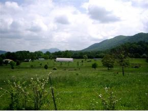112 Hoyle Fender Road, Unit 7 Jonesborough, TN 37659 - Photo 7 of 8 Photo 7