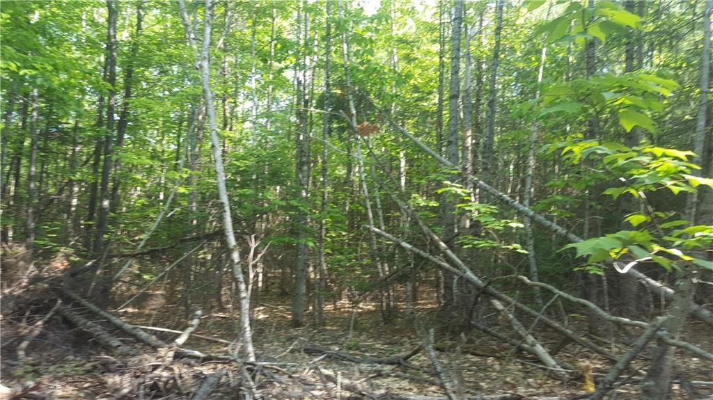 0 Fisher Road Bowdoinham, ME 04008 - Photo 7 of 21 Photo