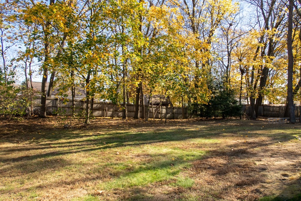 107 Donbray Road Springfield, MA 01119 - Photo 33 of 34