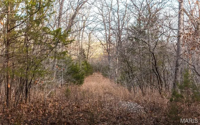 $164,450 | 2593 Highway 50, Linn, MO 65051