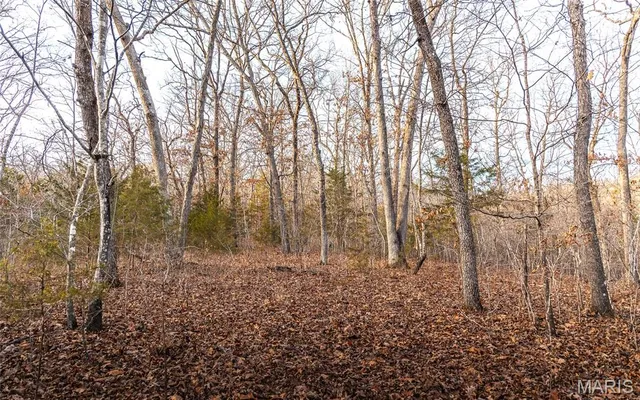 $164,450 | 2593 Highway 50, Linn, MO 65051