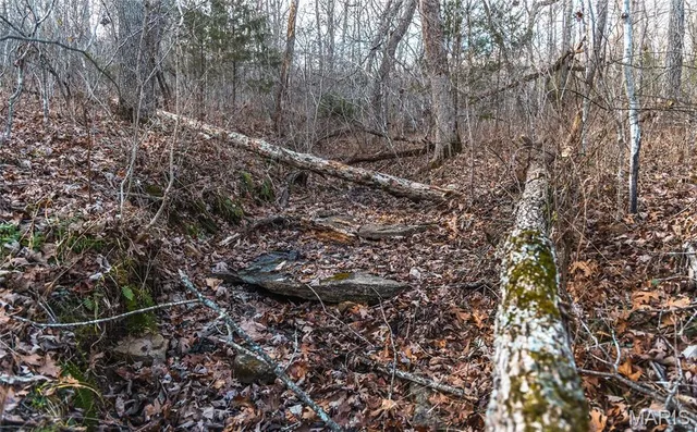 $164,450 | 2593 Highway 50, Linn, MO 65051