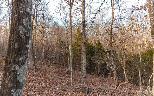 $164,450 | 2593 Highway 50, Linn, MO 65051