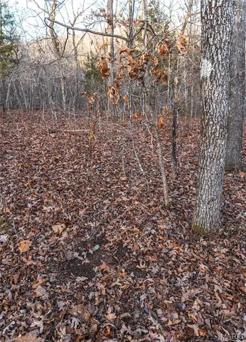 $164,450 | 2593 Highway 50, Linn, MO 65051