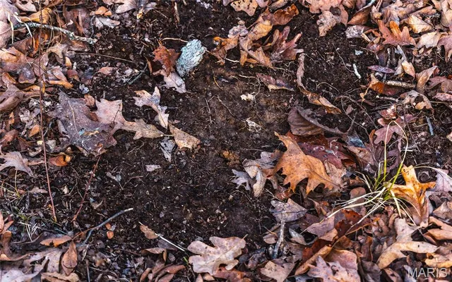 $164,450 | 2593 Highway 50, Linn, MO 65051