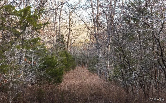 $164,450 | 2593 Highway 50, Linn, MO 65051