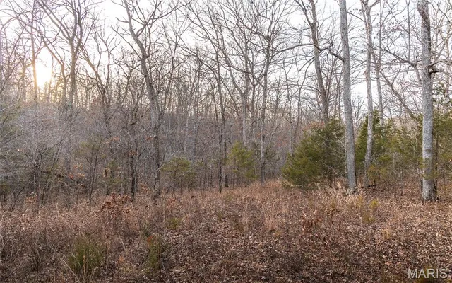 $164,450 | 2593 Highway 50, Linn, MO 65051