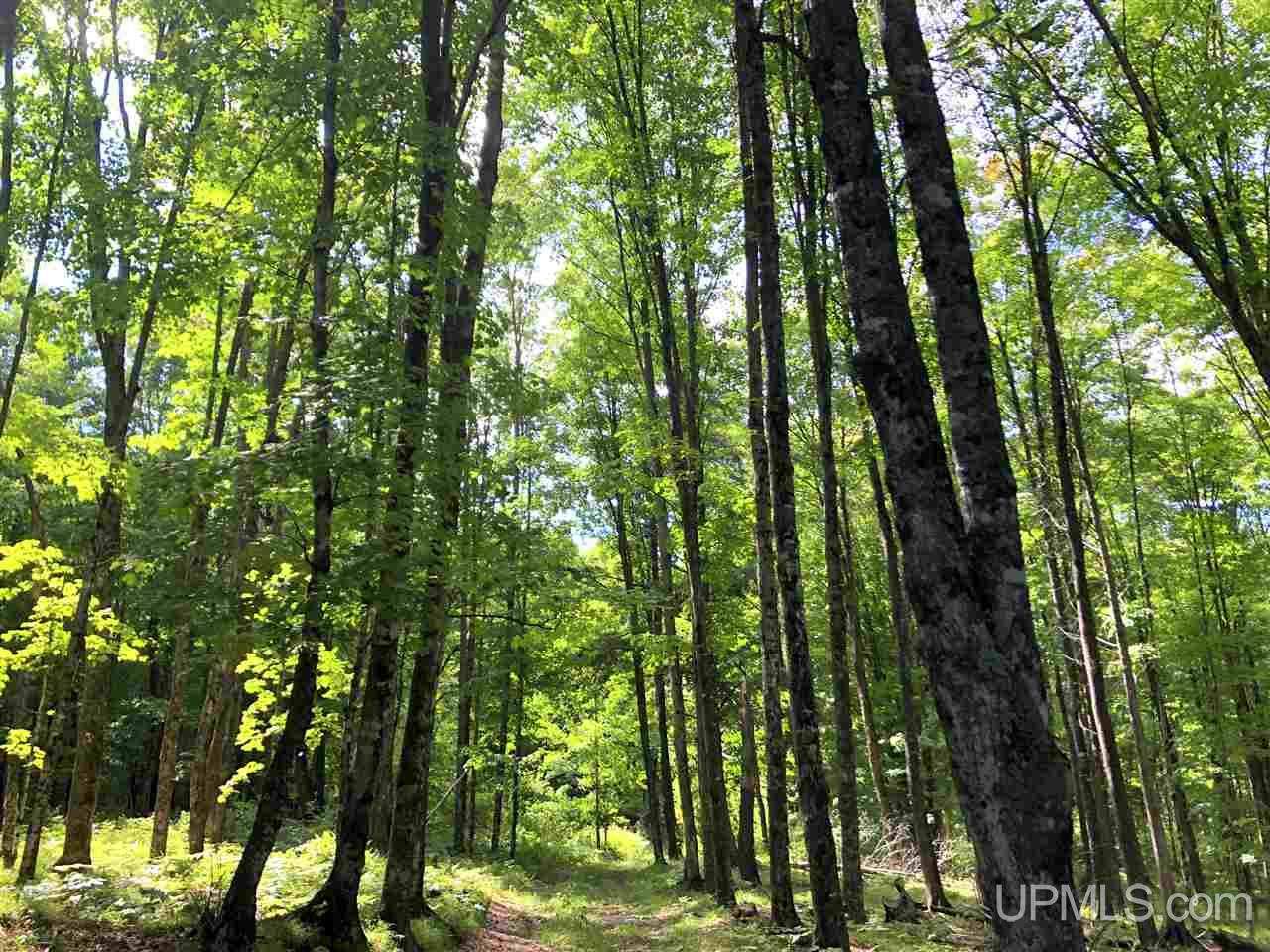 9 Road Trail Felch, MI 49831 - Photo 29 of 42