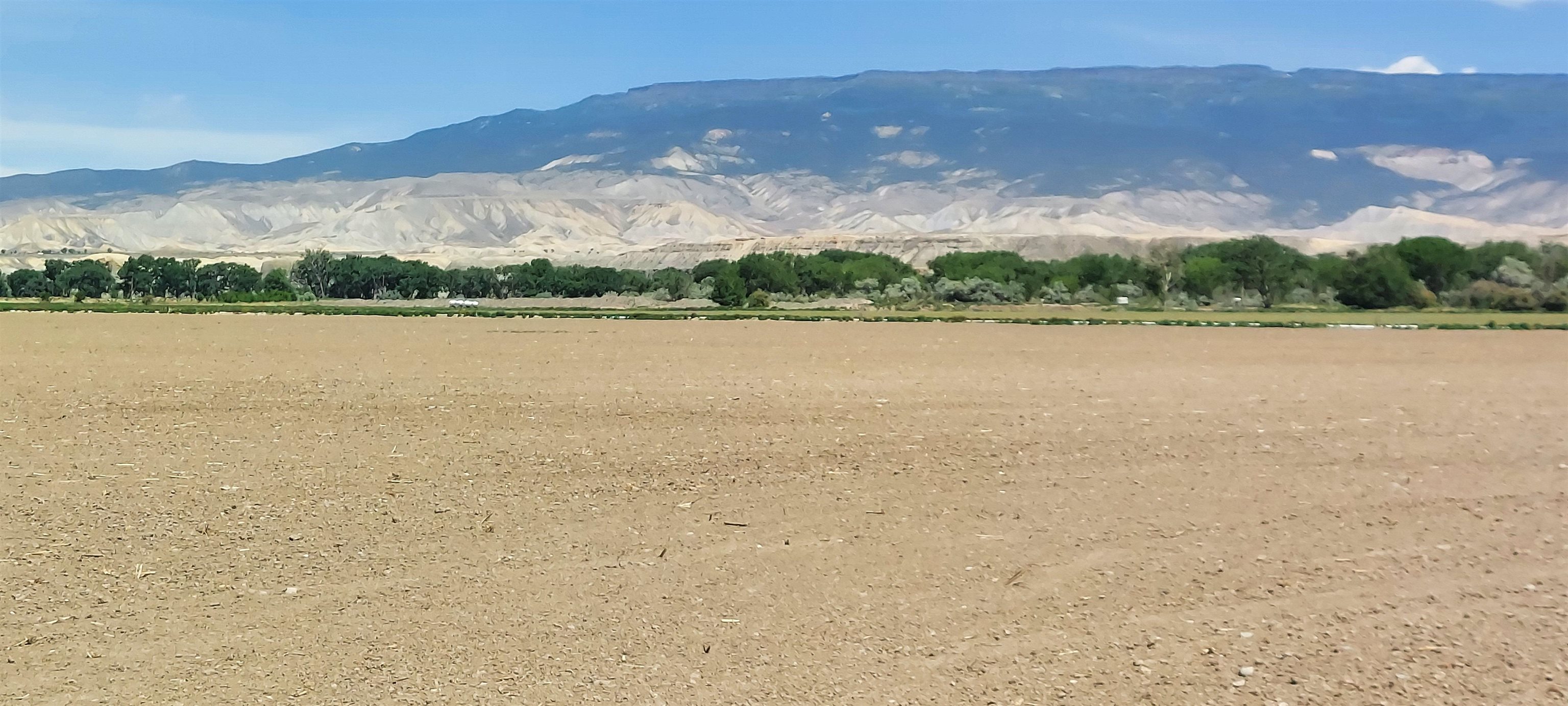 18889 Homestead Road Delta, CO 81416 - Photo 2 of 19 Gallery Image 2