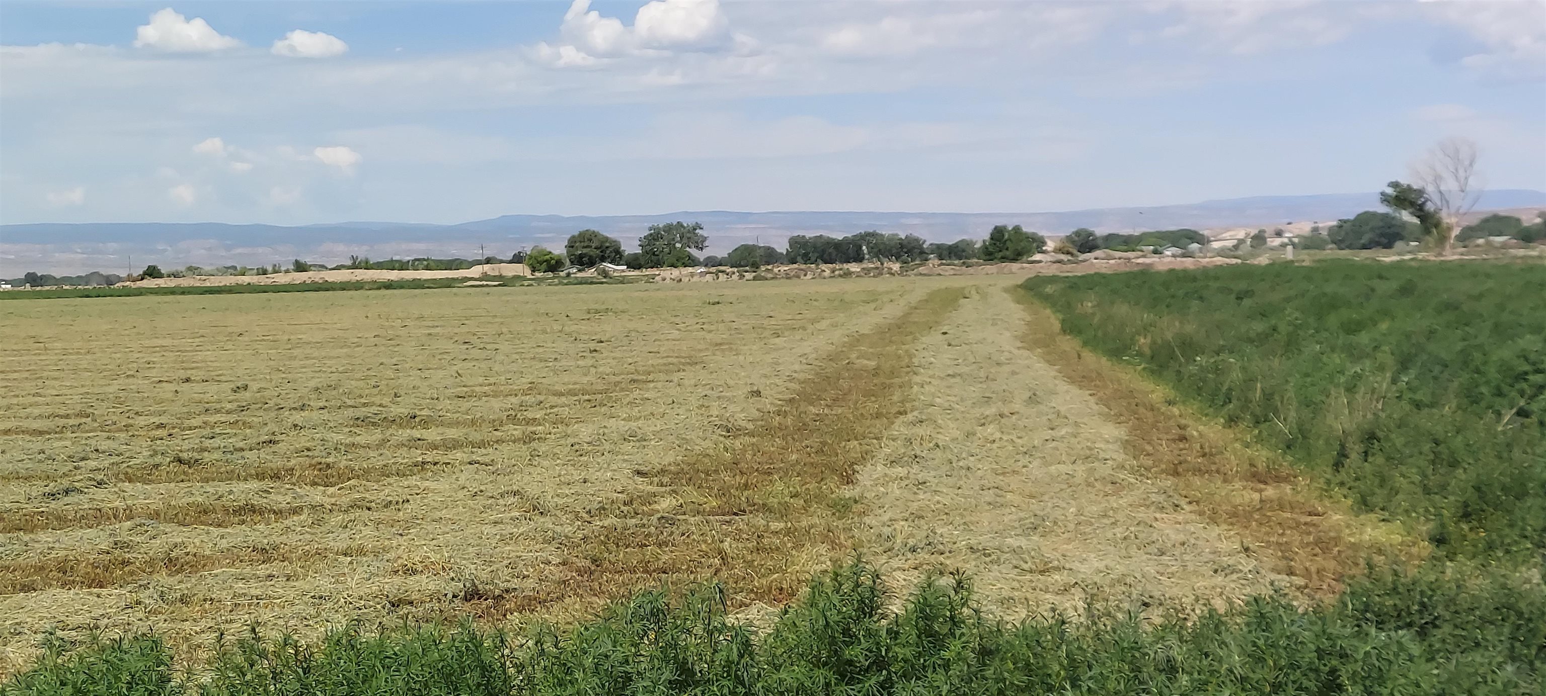 18889 Homestead Road Delta, CO 81416 - Photo 5 of 19 Gallery Image 5