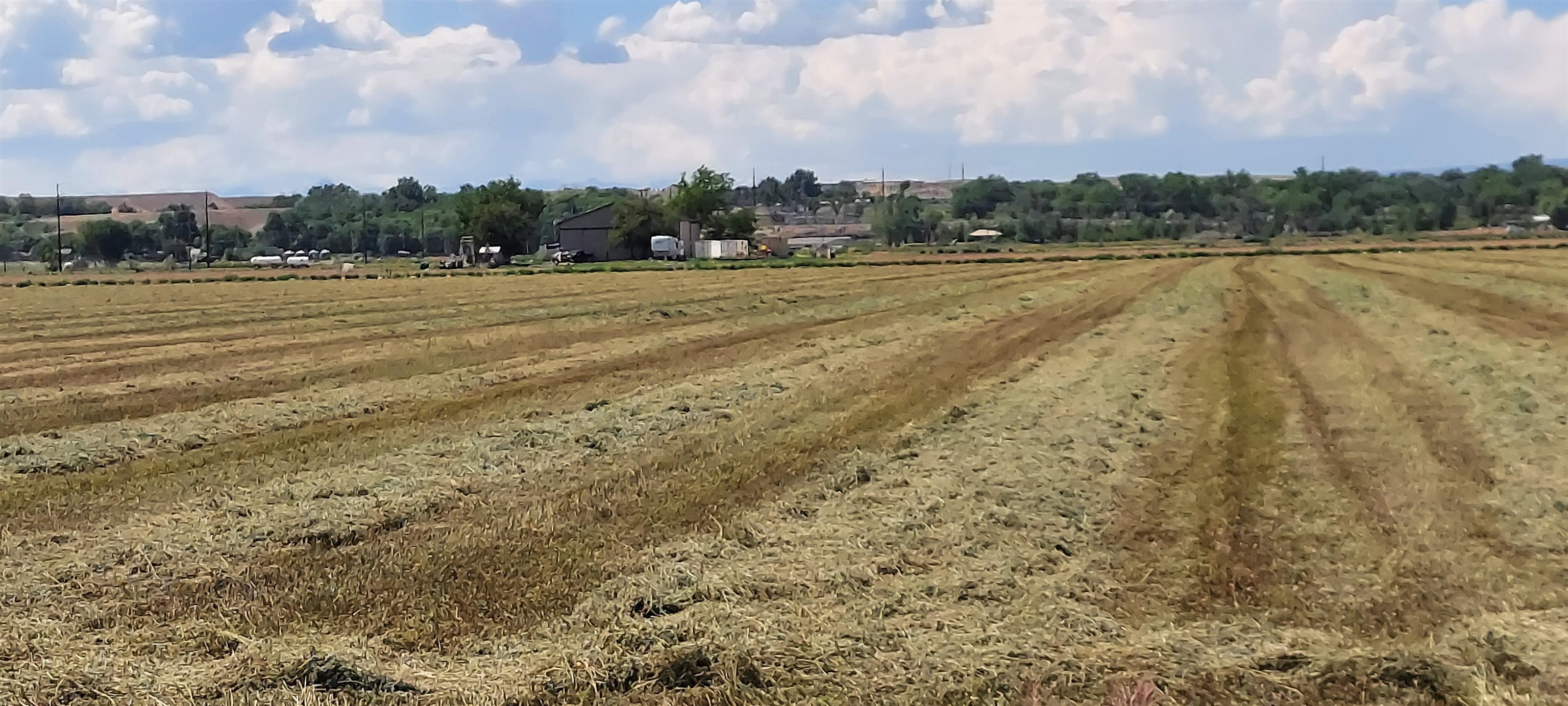 18889 Homestead Road Delta, CO 81416 - Photo 6 of 19 Gallery Image 6