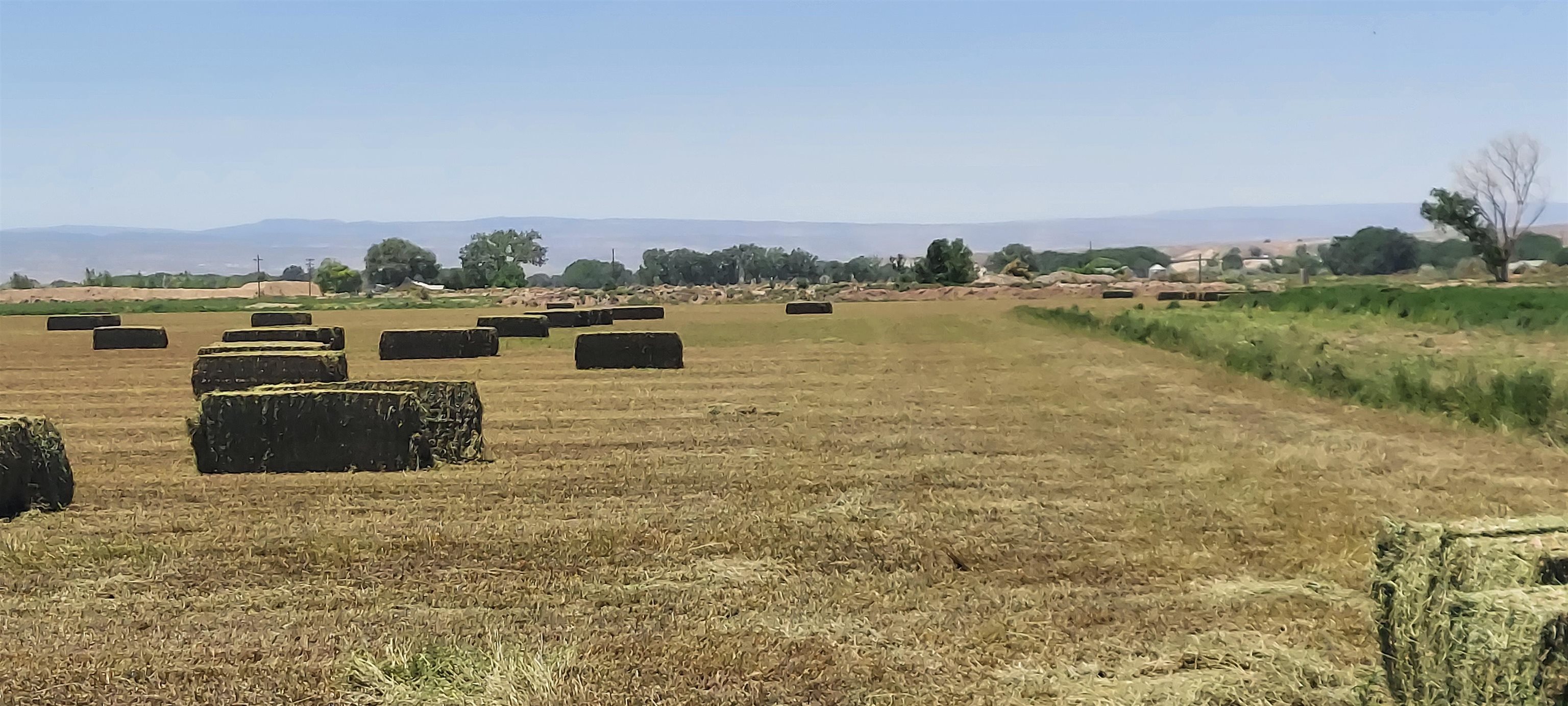 18889 Homestead Road Delta, CO 81416 - Photo 7 of 19 Gallery Image 7