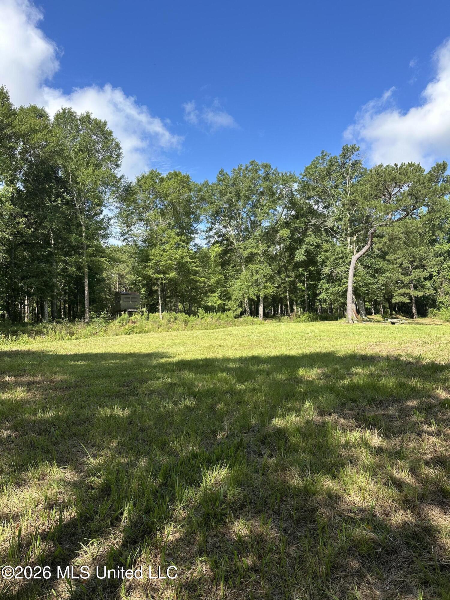 135 Joe Booth Road Taylorsville, MS 39168 - Photo 13 of 22 IMG_5284