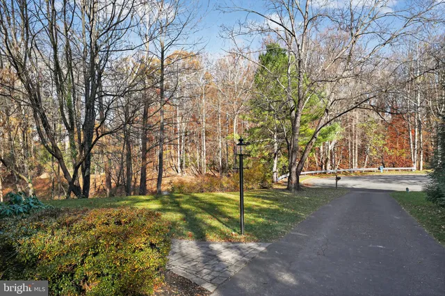 a view of road with trees
