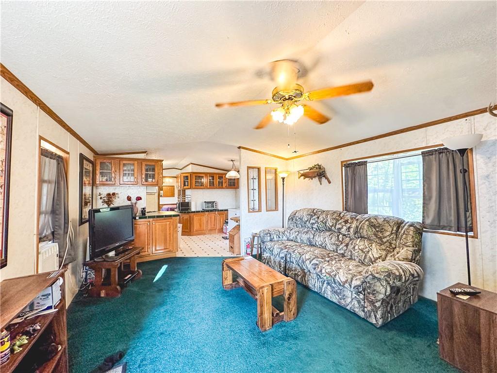 153 Ash Street Rochester, PA 15074 - Photo 3 of 15