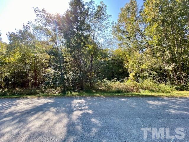 Lot 4 Kingswood Road Buffalo Junction, VA 24529 - Photo 4 of 7 Gallery Image 4