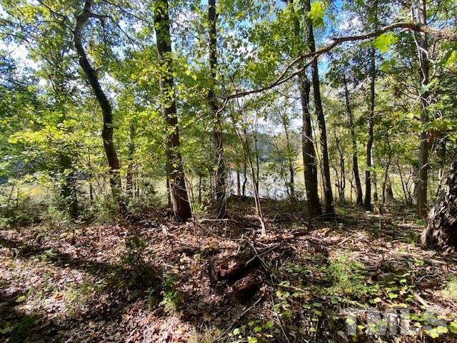 Lot 4 Kingswood Road Buffalo Junction, VA 24529 - Photo 6 of 7 Gallery Image 6