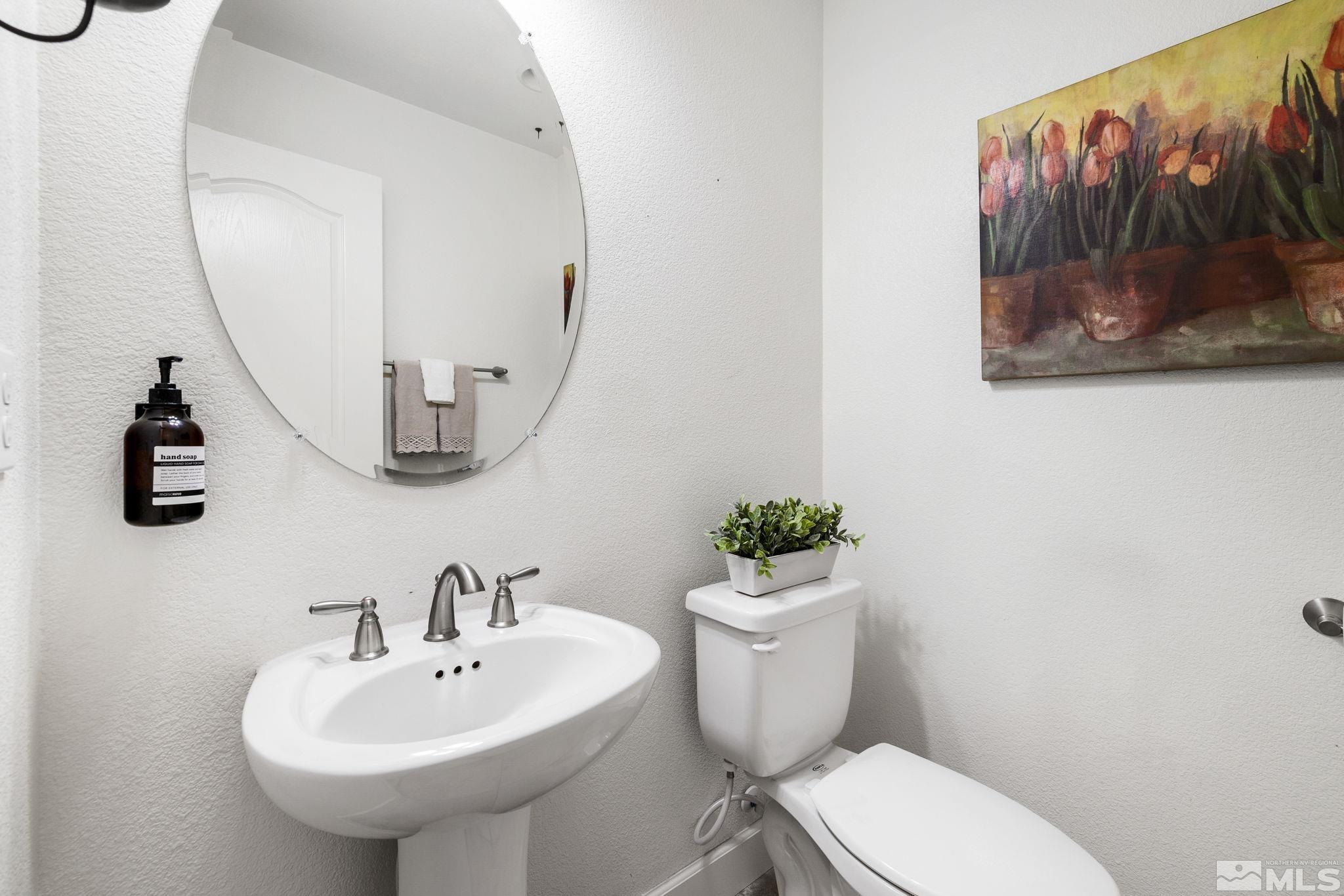 10656 Foxberry Park Drive Reno, NV 89521 - Photo 7 of 31 a bathroom with a toilet a sink and mirror