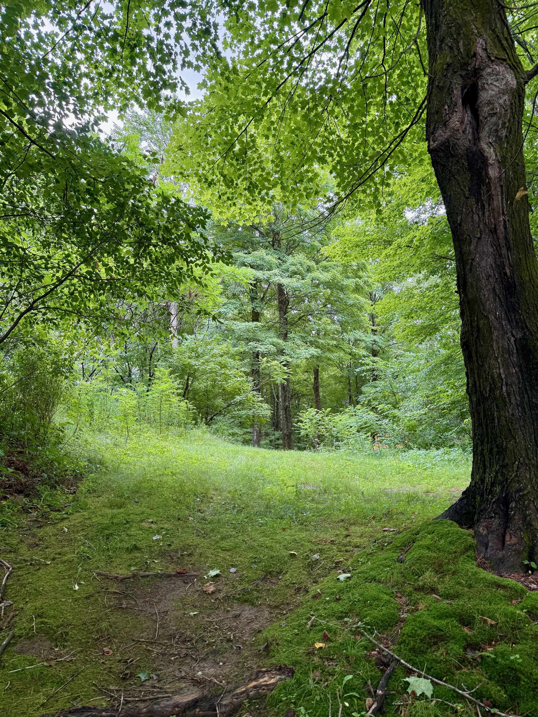 193 Highway 15 Johnson, VT 05656 - Photo 16 of 16