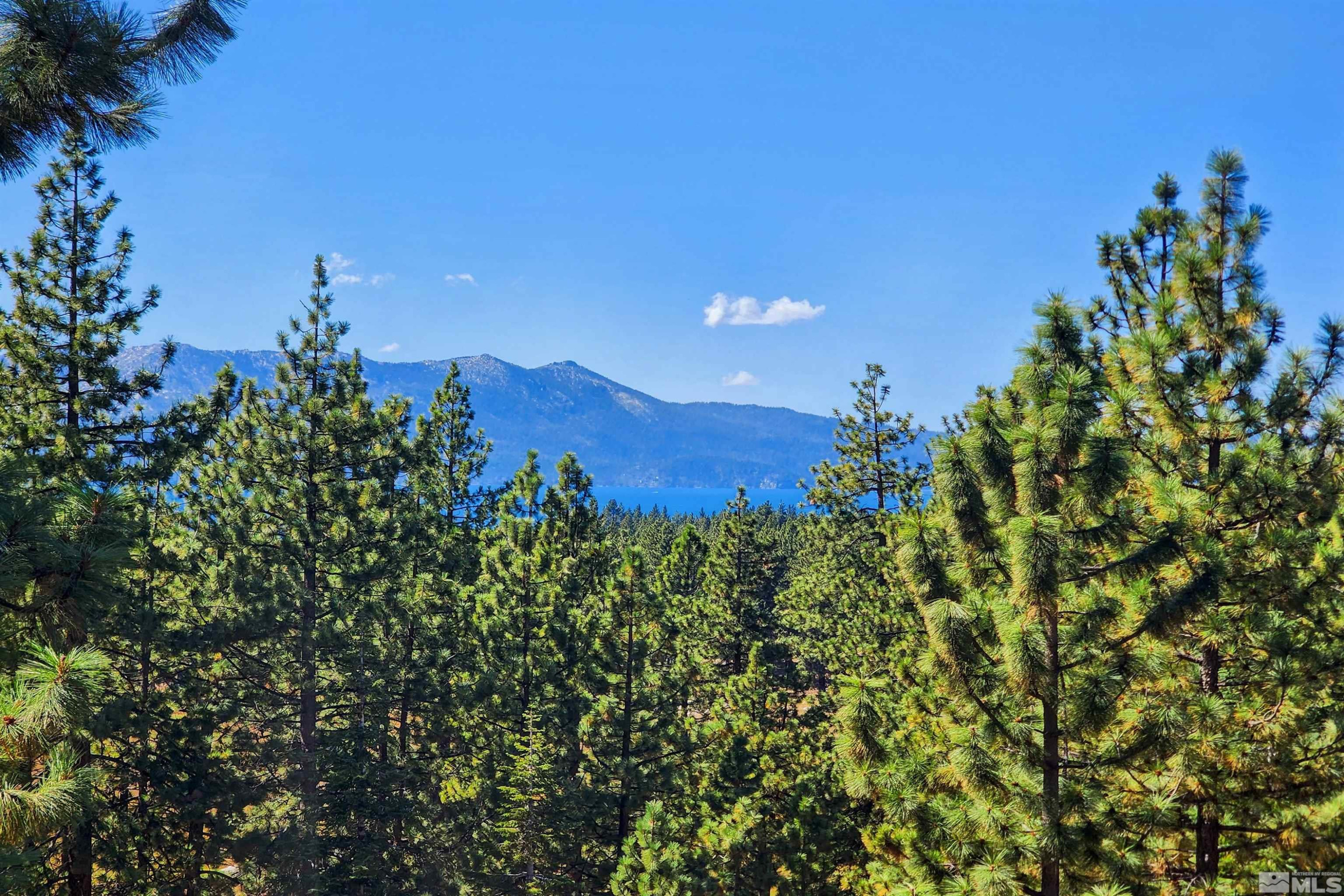a view of a bunch of trees