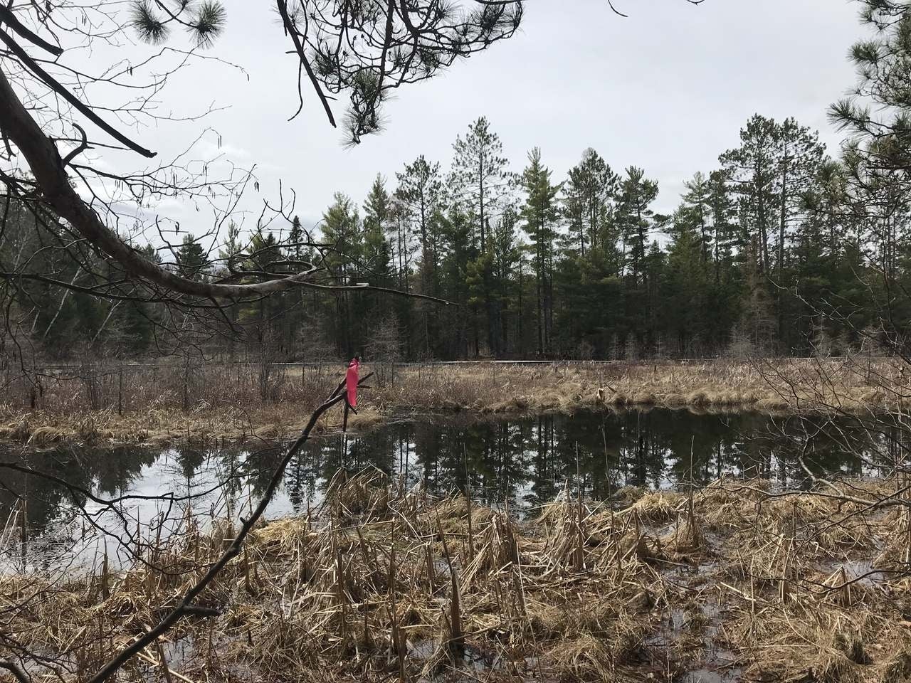 Lot 2 Thoroughfare Road Minocqua, WI 54548 - Photo 12 of 15 Gallery Image 12
