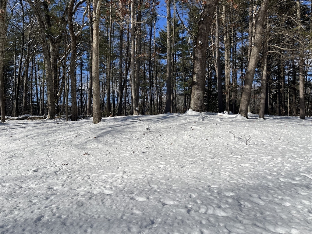 723-lot B Ryan Road Northampton, MA 01062 - Photo 3 of 18