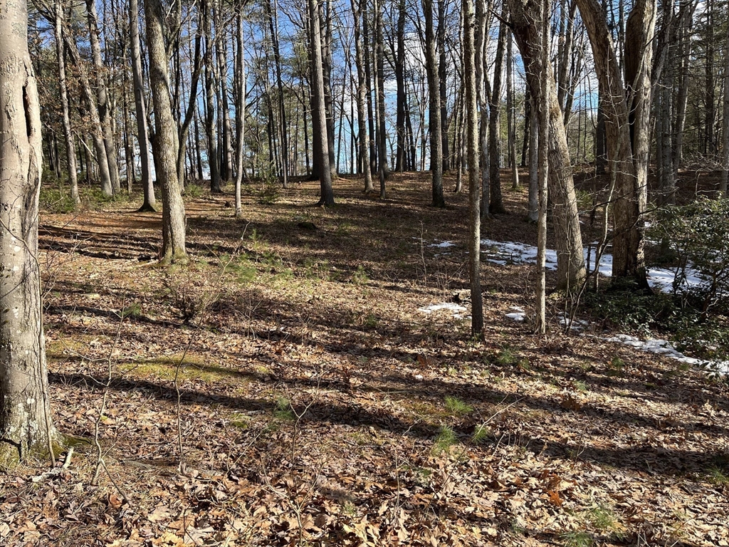 723-lot B Ryan Road Northampton, MA 01062 - Photo 5 of 20