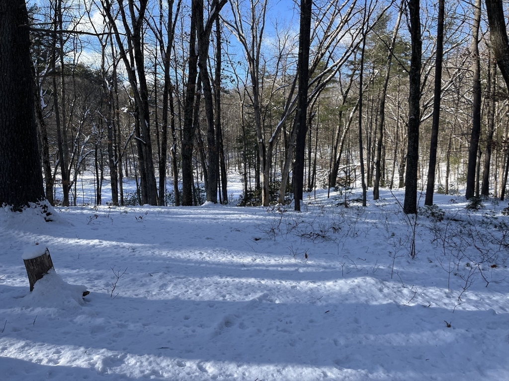 723-lot B Ryan Road Northampton, MA 01062 - Photo 6 of 20