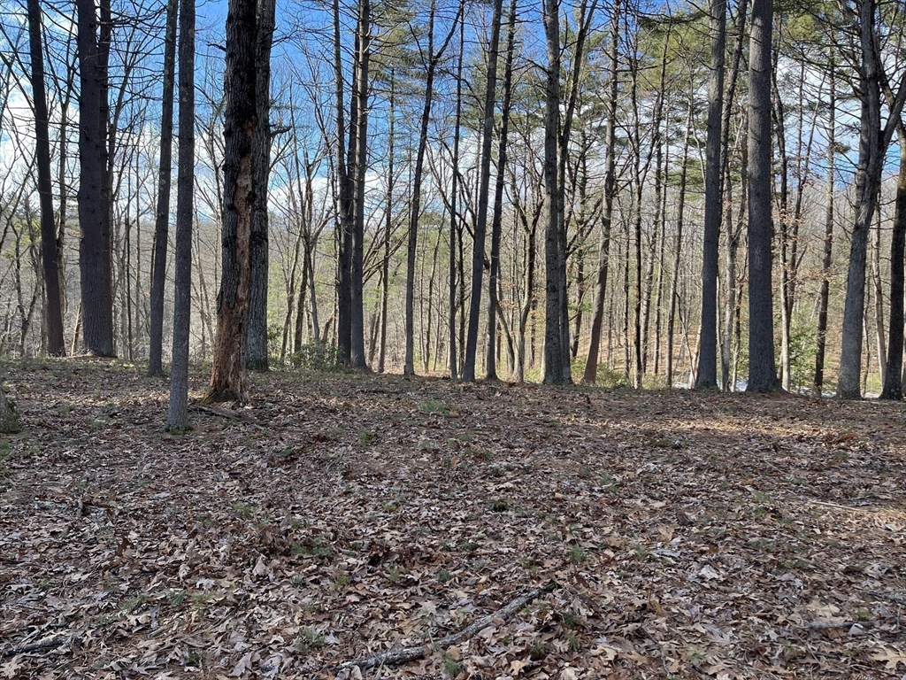 723-lot B Ryan Road Northampton, MA 01062 - Photo 7 of 20