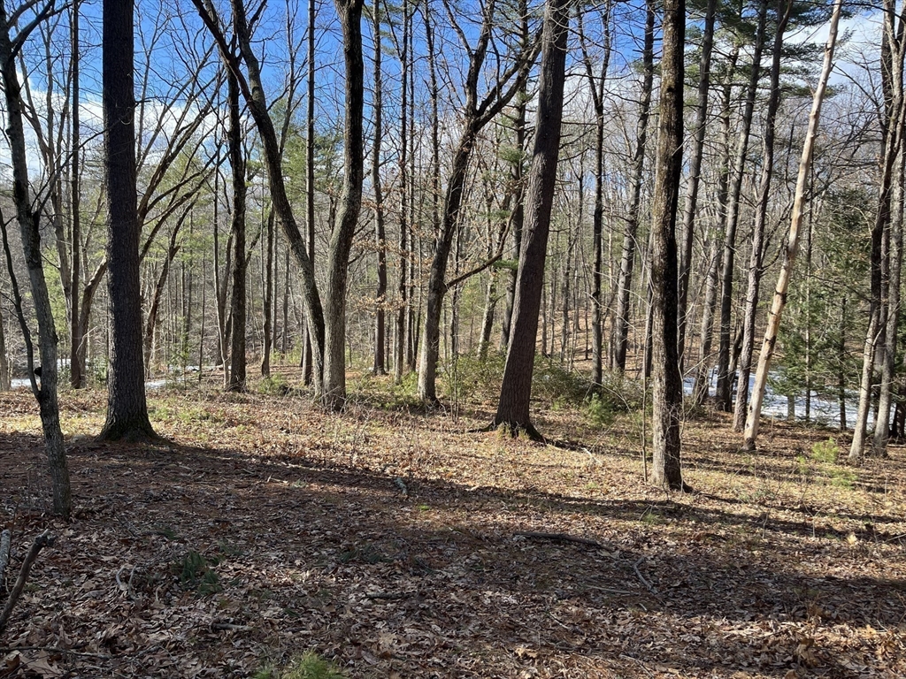 723-lot B Ryan Road Northampton, MA 01062 - Photo 8 of 20