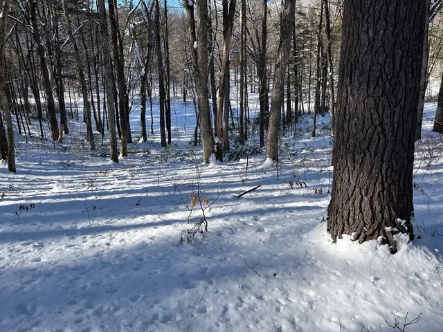 $230,000 | 723-lot B Ryan Road, Northampton, MA 01062