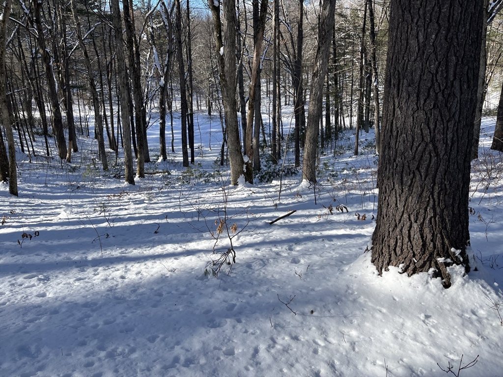 723-lot B Ryan Road Northampton, MA 01062 - Photo 10 of 18